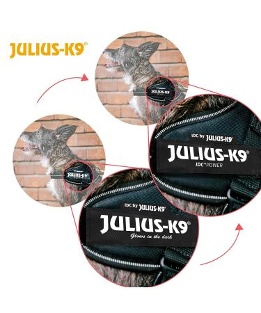 IDC Powerharness Size: XS/Mini-Mini Pink Flowers - Buy Online on GoSupps.com