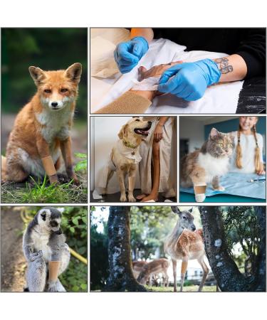 54 Pack Self Adhesive Bandage Wrap - 4" x 5 Yards Cohesive Vet Wrap for Sports Dogs & Pets | Breathable Elastic Self-Adherent Tape - Buy Online on GoSupps.com