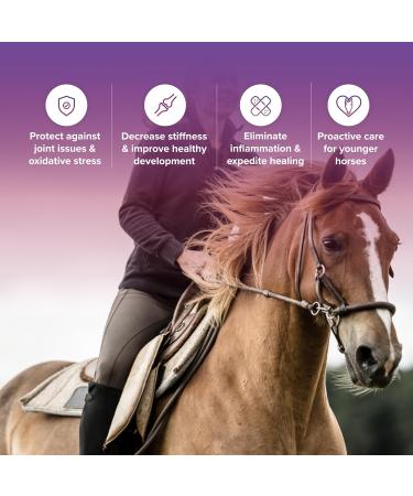 Integricare - Tri-Acta Equine Formula All-Natural Horse Joint Supplement with Glucosamine Chondroitin and Msm for Horses 1kg - Buy Online on GoSupps.com