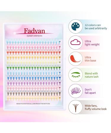 240pcs 12 Color 10D 13mm Colored Lash Extensions | D Curl Professional Premade Fans Eyelash Extensions | Vibrant Individual Lashes - Buy Online on GoSupps.com