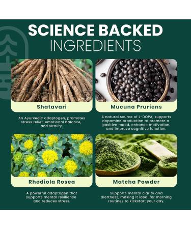 MoodLift Natural Mood Support Supplement - Dopamine & Adaptogen Blend with Mucuna Pruriens Shatavari Rhodiola Rosea & Matcha - Promotes Emotional Balance Focus & Stress Relief - 60 Capsules - Buy Online on GoSupps.com