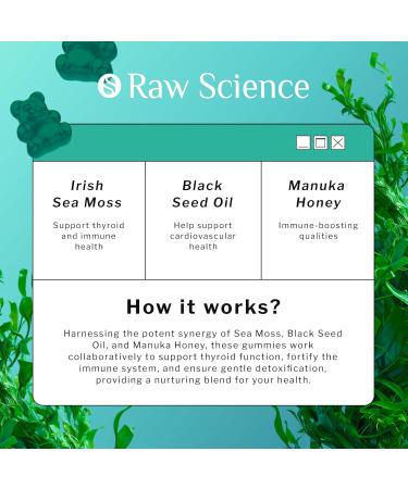 Irish Sea Moss Gummies - Detox & Thyroid Support | Immune & Gut Health | Black Seed Oil Manuka Honey | 60 pcs - 100% Natural Supplements - Buy Online on GoSupps.com