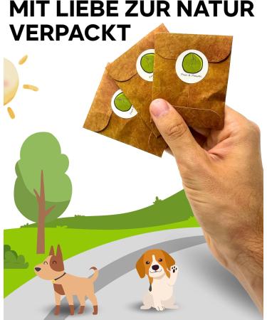 Personalized Dog Collar Tag - Paws & Peewee's Custom Engraved Badge for Dogs Puppies & Cats - Gold Gloss 23mm - Buy Online on GoSupps.com