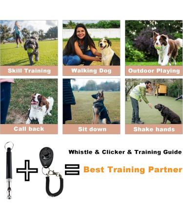 Duuclume Hands-Free Dog Training Kit with Treat Pouch, Clicker, Whistle & Carabiner - Grey - Buy Online on GoSupps.com
