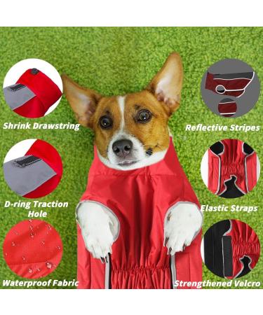 PLUS PO Waterproof Dog Raincoat for Small Dogs - Red & Pink Full Coverage - Buy Online on GoSupps.com