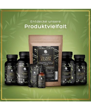 Quercetin 500mg Vegan Capsules - High-Dose 120 Count - Premium Japanese Extract - Lab Tested Additive-Free - Buy Online on GoSupps.com