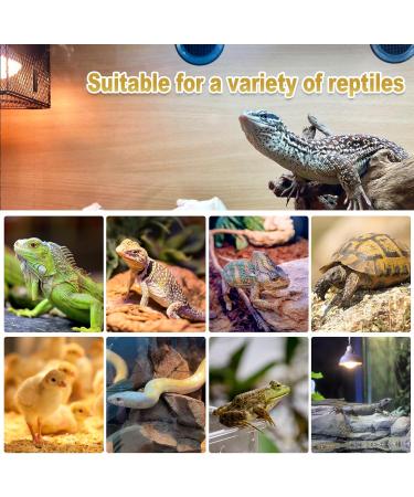 MIXJOY Reptile Heat Lamp 2 Pack 100W Reptile Heat Lamp Bulbs UVA Daylight Basking Spot Light for Reptiles and Amphibians - Lizard Tortoise Bearded Dragon - Buy Online on GoSupps.com