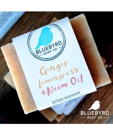 Bluebyrd Soap Co. Ginger Lemongrass All Natural Soap Bar with Neem Oil | 5oz | For Eczema, Psoriasis, Acne | Scented with Essential Oils - Buy Online on GoSupps.com