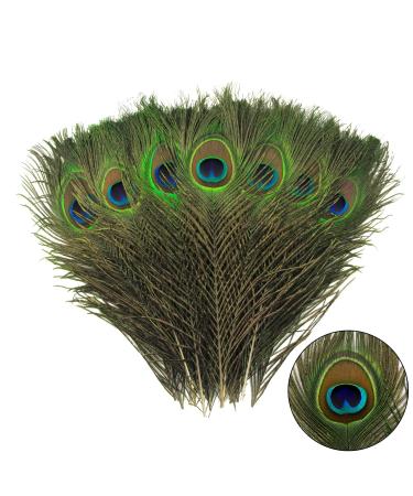 THARAHT 12pcs Peacock Feather Natural in Bulk 10-12 inch 25-30cm ...