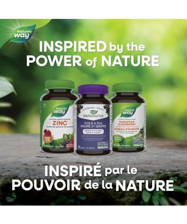 Sambucus Elderberry Cold and Flu Care Capsules 90 Vegetarian Capsules Non-GMO Project Verified 90 Capsules Medicine - Buy Online on GoSupps.com