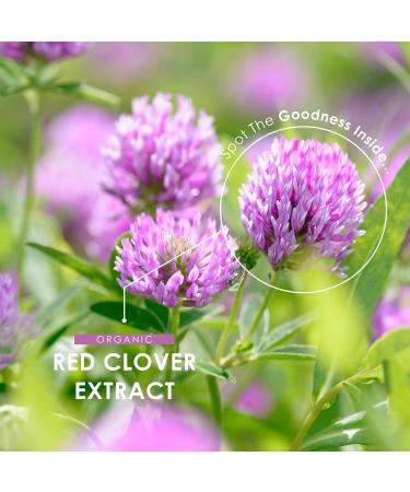 Organic Red Clover Extract 5250mg - for Use During The Menopause - Potent 15:1 Pure Extract - Halal 120 Vegan Capsules 1 count (Pack of 120) - Buy Online on GoSupps.com