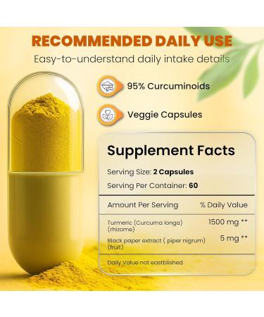 HERVIVA Turmeric Curcumin 1500mg with Black Pepper 5mg High Potency Vegan Capsules Non-GMO Gluten-Free 120 Count - Buy Online on GoSupps.com