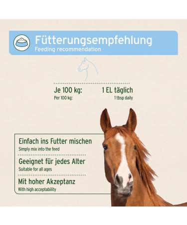 AniForte Mauke Horse Formula 1kg - Skin & Hoof Care Metabolism & Immune System Support Horse Care for Vital Skin & Wellness - Buy Online on GoSupps.com