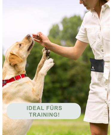 Dogster Treat for Dogs - Convenient Snack Bag with Carabiner | Quick Rewards for Your Pup - DOG01 - Buy Online on GoSupps.com