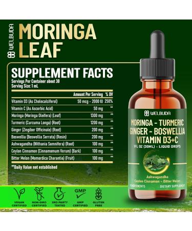 9in1 Moringa Liquid Drops with Ginger Boswellia Vitamin D3-C Ceylon Cinnamon Ashwagandha Ceylon Cinnamon and Bitter Melon - Support Immune Overall Wellness - 1 FL Oz - 30 Servings - Buy Online on GoSupps.com