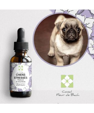 Lot of 2 Mixture of floral elixirs "Stressed dog" Quickly comfort your dog. This is a natural anti-stress for his daily life (30ML) - Buy Online on GoSupps.com