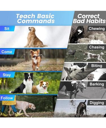 New Classic Dog Collars - Nylon Waterproof & Breathable Perfect for All Sizes | Shop Now! - Buy Online on GoSupps.com