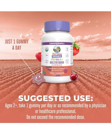 MaryRuth's Toddler Multivitamin Gummies | USDA Organic | 2 Month Supply | Kids Age 2+ | Vitamin C, D3, Zinc | 1 Gummy/Day | 60 Ct - Buy Online on GoSupps.com