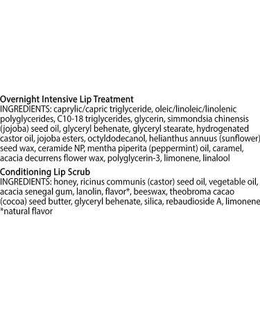 Burt's Bees Lip Balm & Lip Treatment Set - Overnight Intensive Care & Conditioning Scrub - 0.50 oz (Pack of 1) - Buy Online on GoSupps.com