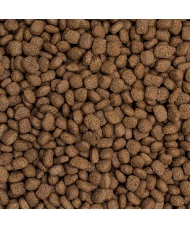 Premium Dry Dog Food Rich in Beef with Rice for Adult Small Breed Dogs 8 kg - Buy Online on GoSupps.com