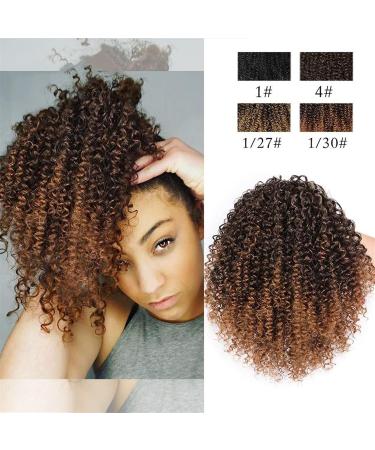 Hair Extensions 8 Inch Short Curly with Drawstring Hairpin Ponytail Afro Ponytail Hair Extension Synthetic Curly Bun for Black Women Hair Pieces For Women (Color : D Size : 8inches) 8inches D - Buy Online on GoSupps.com