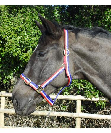 Rhinegold Nylon Halter Full Size Red / White / Blue