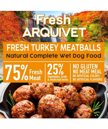 ARQUIVET Fresh Turkey Meatballs - Boxes of Turkey Broccoli and Pumpkin Meatballs - Pack of 6 units x 400g - Food - Buy Online on GoSupps.com