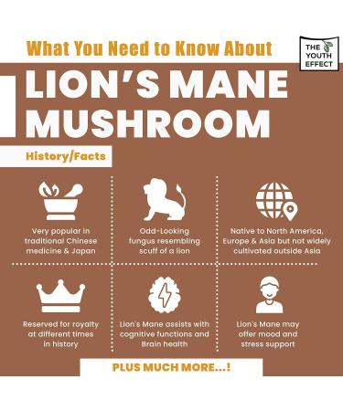 Mushroom Coffee Think w/ Lion's Mane Chaga and Reishi - Think Stress Relief Immunity Productivty & Creativity Herbal Coffee Substitute Keto Friendly Sugar Free Arabica Coffee Healthy Coffee (10:1 super potency Adaptogenic Coffee Organic Mushrooms 100g 50  - Buy Online on GoSupps.com