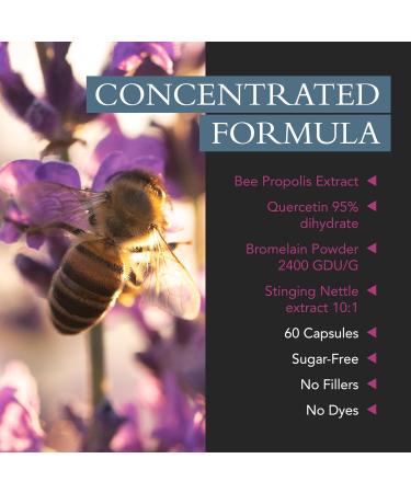 Xtravit Allergy & Sinus Support Supplement Natural Non Drowsy Relief Supplements for Nasal Congestion Sinus Pressure Runny Nose & Seasonal Discomfort - Non-GMO No Fillers 60 Capsules - Buy Online on GoSupps.com