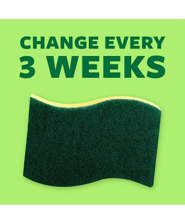 Scotch-Brite Heavy Duty Scrub Sponges - 24 Pack for Washing Dishes and Cleaning Kitchen - Buy Online on GoSupps.com