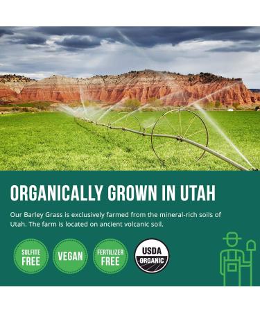 Organic Wheatgrass Juice Powder Plus Organic Barley Grass Juice Powder - USA Grown in Volcanic Utah Soil Both Raw Form & 5.3 oz - Buy Online on GoSupps.com