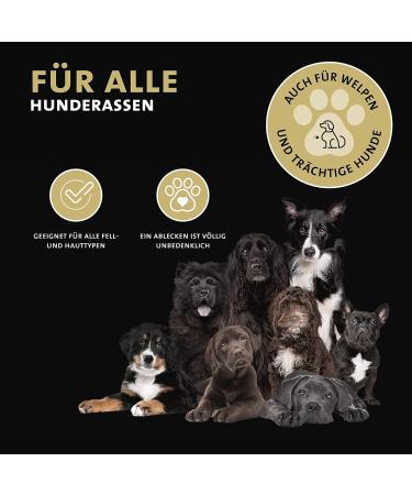 Peticare Wound Ointment for Dogs - Heal Wounds & Skin Injuries | Unique PRS System | Fast International Shipping - Petdog Health 2107 80 ml - Buy Online on GoSupps.com