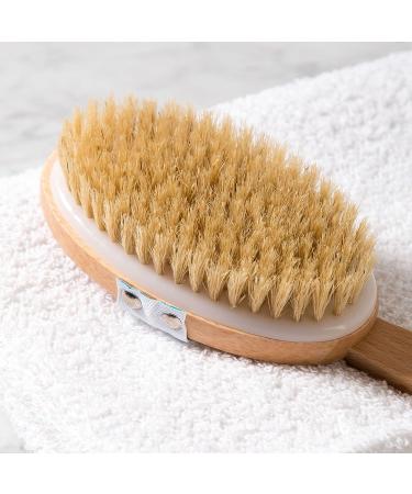 Organic Pharmacy Skin Brush - Gentle Exfoliation for Radiant Skin - Buy Online on GoSupps.com