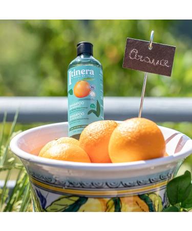  sarcia.eu ITINERA Cosmetic Kit Conditioner for Damaged Hair 2 x 370 ml - Buy Online on GoSupps.com