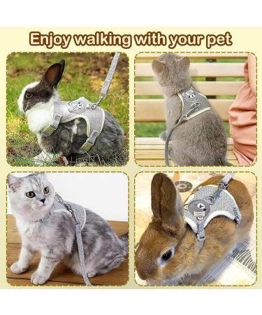 Adjustable Rabbit Dishes & Leash for Dwarf Rabbits | Soft Pet Bowls for Rabbits Cats & Small Dogs - International Shipping - Buy Online on GoSupps.com