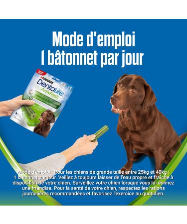 PURINA DENTALIFE ACTIVFRESH LARGE | Treats for Large Dogs | 4 Chew Sticks | Spirulina and Honey | Pack of 1 | 115 g - Buy Online on GoSupps.com