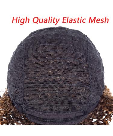 Short Kinky Curly Afro Wig with Bangs for Black Women | Natural Hair Wigs in 1T30 - Buy Online on GoSupps.com
