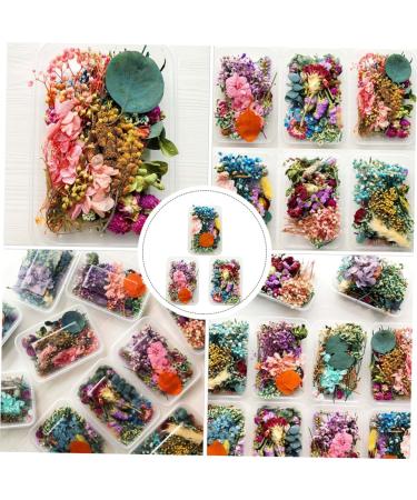 Zerodeko 9 Boxes Handmade Diy Dried Flowers Real Daisy Dried Flower Leaves Dried Flowers Nail Art Dried Flower Decor Maternity Clothes Dried Flowers for Soap Making Bjd Doll Manual Bouquet - Buy Online on GoSupps.com