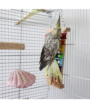 Suspensible Colorful Bird Xylophone Toy with 8 Metal Keys - Ideal for Chicken Bird, Parrot, Budgies, Love Birds | Bird Cage Accessories - Buy Online on GoSupps.com