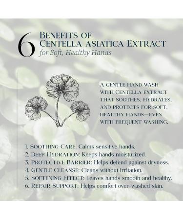 PUREBBLE Foaming Hand Soap Floral Purple 10.14fl.oz (Refill Pack of 3) | with Hyaluronic Acid Floral Scent | For Kitchen and Bathroom | Cruelty Free Sulfate Free - Buy Online on GoSupps.com