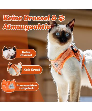 Supet Cat Dishes & Soft Vest with Leash for Kittens & Small Dogs - Orange (S: 26-32 cm) - Buy Online on GoSupps.com