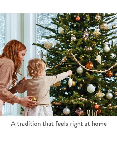 Thymes Frasier Fir All-Purpose Cleaner - Biodegradable Household Spray with Essential Oils for Kitchens & Bathrooms - 16 fl oz - Buy Online on GoSupps.com