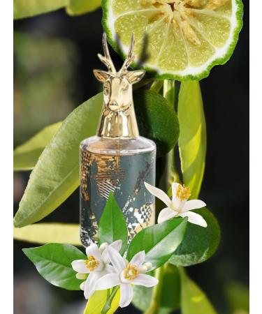 RACING CLUB LODGE POUR HOMME EAU DE TOILETTE 3.4 FL. OZ. Woody Aromatic fragrance for men - Buy Online on GoSupps.com