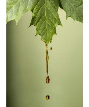 KoRo - Organic Maple Syrup Grade A 1 L - Canadian Maple Syrup in Benefit Pack - Buy Online on GoSupps.com