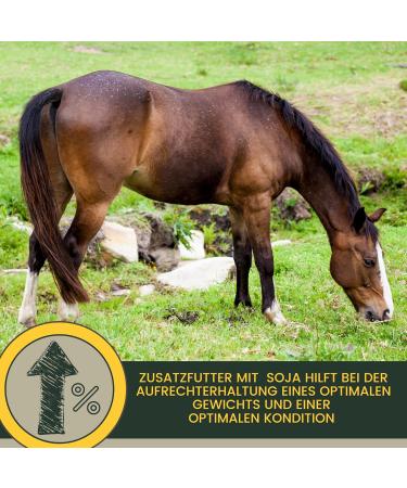 Soybean meal horse I Dietary supplement for musculature skeleton vitality I Amino acids horses Muscle muscle Soy protein I Vitamin BE complex Zinc Biotin Selenium horse 6 kg - Buy Online on GoSupps.com