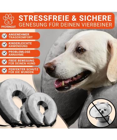 Pfotengut Inflatable Dog Breaker Crane with Air Pump | Improved Neck Cradle for Dogs & Cats | Premium Protective Collar | Leak Protection 2023  - Buy Online on GoSupps.com