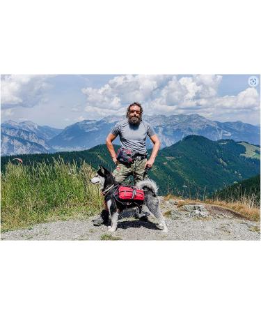 IENERGY PAT Belt Bag for Dog Owners - Weatherproof Hip Pocket & Belly Pocket for Dog Training Treats (Green) - Buy Online on GoSupps.com