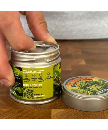 Authentic Japanese Ceremonial Grade Matcha Green Tea Powder - 30g Tin | Uji Kyoto Origin | Stone-Ground for Energy and Focus - Buy Online on GoSupps.com