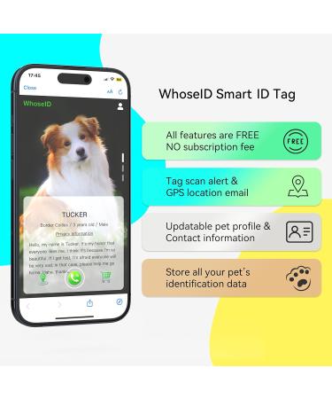 Whoseid QR Code Tag for Cats - Modifiable Profile Page Emergency Contacts Noiseless Silicone Stamp Light & Jingle-Free Collar Accessory - Personalized for Small Breeds (Violet) - Buy Online on GoSupps.com