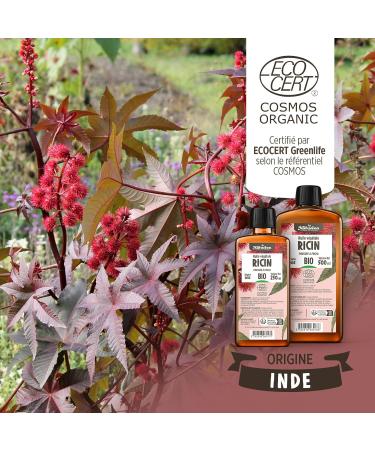  Plan te au Naturel Organic Castor Oil 250ml - Cosmos Organic - Plan te au Naturel - 100% Natural and Cold-Pressed - Skin hair eyelashes etc. - Buy Online on GoSupps.com